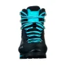 Salewa Crow Goretex Tursko