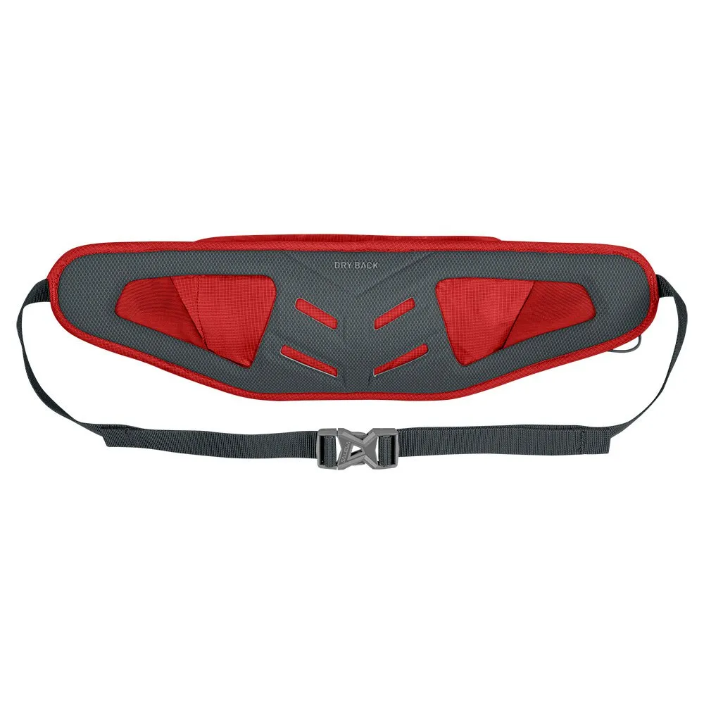 Salewa Lite Train 3l Midjeveske