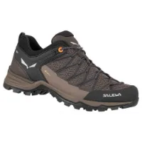 Salewa Mtn Trainer Lite Goretex Tilnærmingssko
