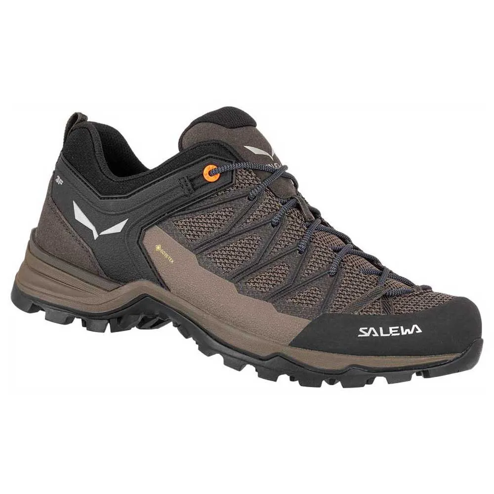 Salewa Mtn Trainer Lite Goretex Tilnærmingssko