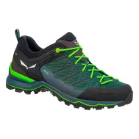 Salewa Mtn Trainer Lite Goretex Tursko