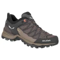 Salewa Mtn Trainer Lite Goretex Tursko