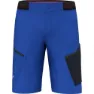 Salewa Pedroc 3 Dst Shorts