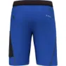 Salewa Pedroc 3 Dst Shorts
