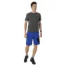 Salewa Pedroc 3 Dst Shorts