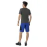 Salewa Pedroc 3 Dst Shorts