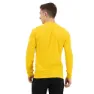 Salewa Pedroc Hybrid 2 Dryton Langarmet T-skjorte, Gold melange