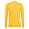 Salewa Pedroc Hybrid 2 Dryton Langarmet T-skjorte, Gold melange
