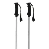 Salewa Puez Aluminum Pro Spaserstokker