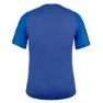 Salewa Seceda Dryton Kortarmet T-skjorte