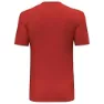 Salewa Solidlogo Dri-release Kortarmet T-skjorte