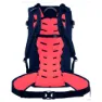 Salewa Winter Mate 28l Dame Ryggsekk