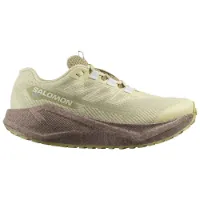 Salomon Aero Blaze 3 Grvl Goretex Løpesko female