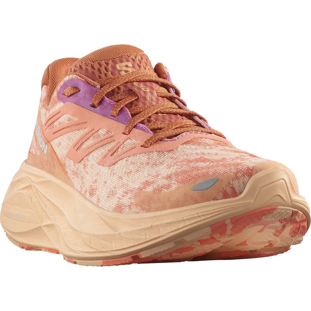 Salomon Aero Glide 2 Løpesko female Salomon Aero Glide 2 Løpesko female