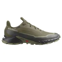 Salomon Alphacross 5 Goretex Trailsko