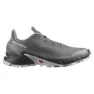 Pewter / black / ghost gray