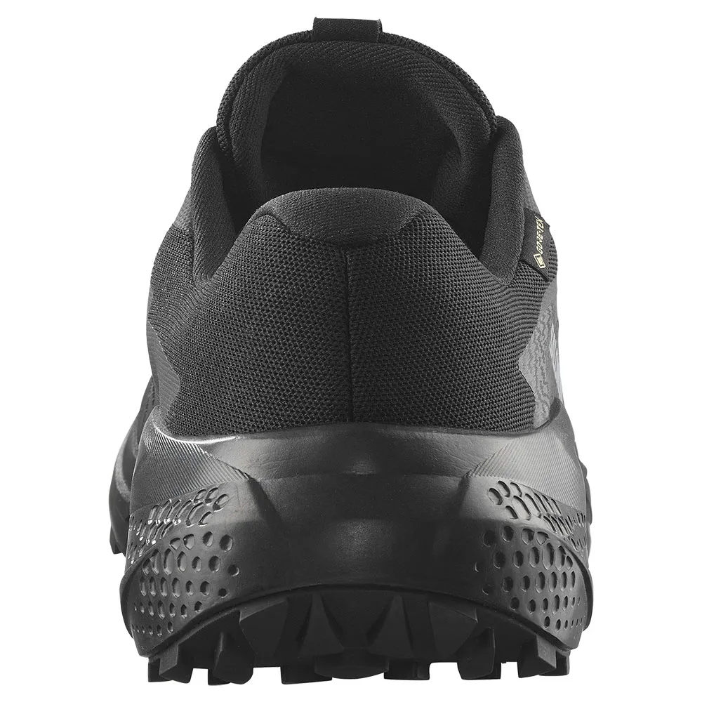 Salomon Alphaglide Goretex Trailsko female