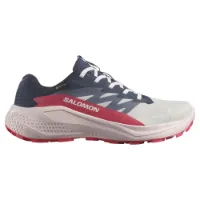 Salomon Alphaglide Goretex Trailsko male
