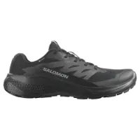Salomon Alphaglide Goretex Trailsko male Salomon Alphaglide Goretex Trailsko male