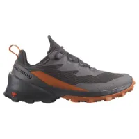 Salomon Cross Over 2 Goretex Tursko