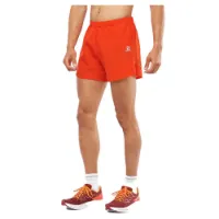 Salomon Cross Rebel 5´´ Shorts male