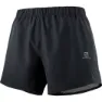 Salomon Cross Rebel 5´´ Shorts male