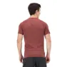 Salomon Cross Run Graphic Kortarmet T-skjorte male, Cabernet / dark denim / heather
