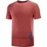 Salomon Cross Run Graphic Kortarmet T-skjorte male, Cabernet / dark denim / heather