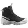 Salomon Crosstrak Powder Wp Tursko