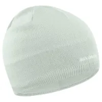 Salomon Logo Lue