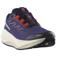 Salomon Men's Aero Blaze