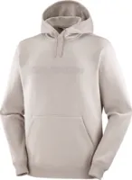 Salomon Men's Big Logo