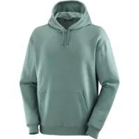 Salomon Men's Logo Pride Hoodie