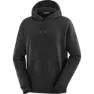 Salomon Men's Logo Pride Hoodie