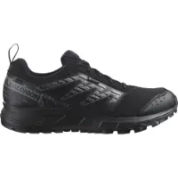 Salomon Wander Goretex Trailsko male
