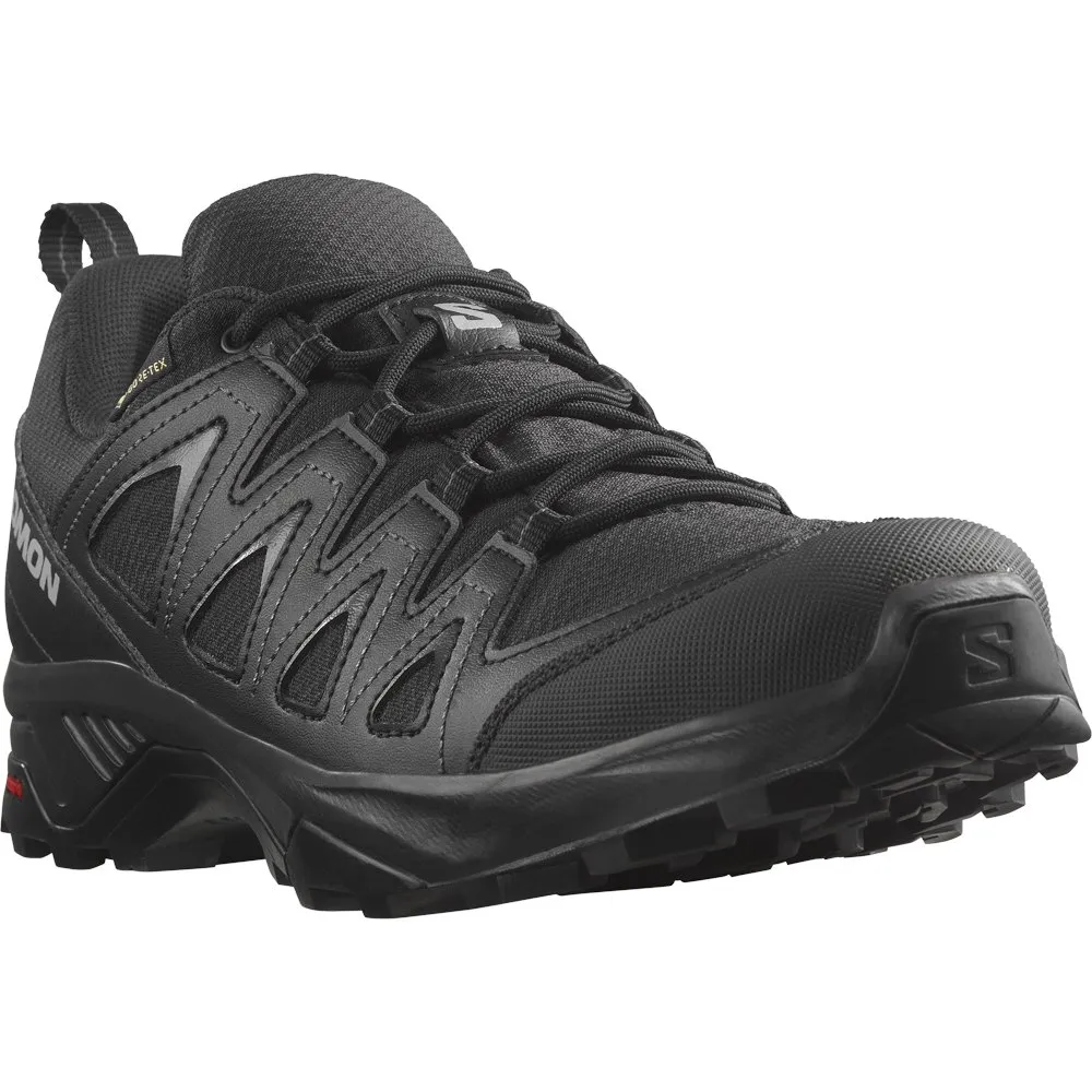 Salomon X Braze Goretex Tursko