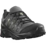 Salomon X Braze Goretex Tursko