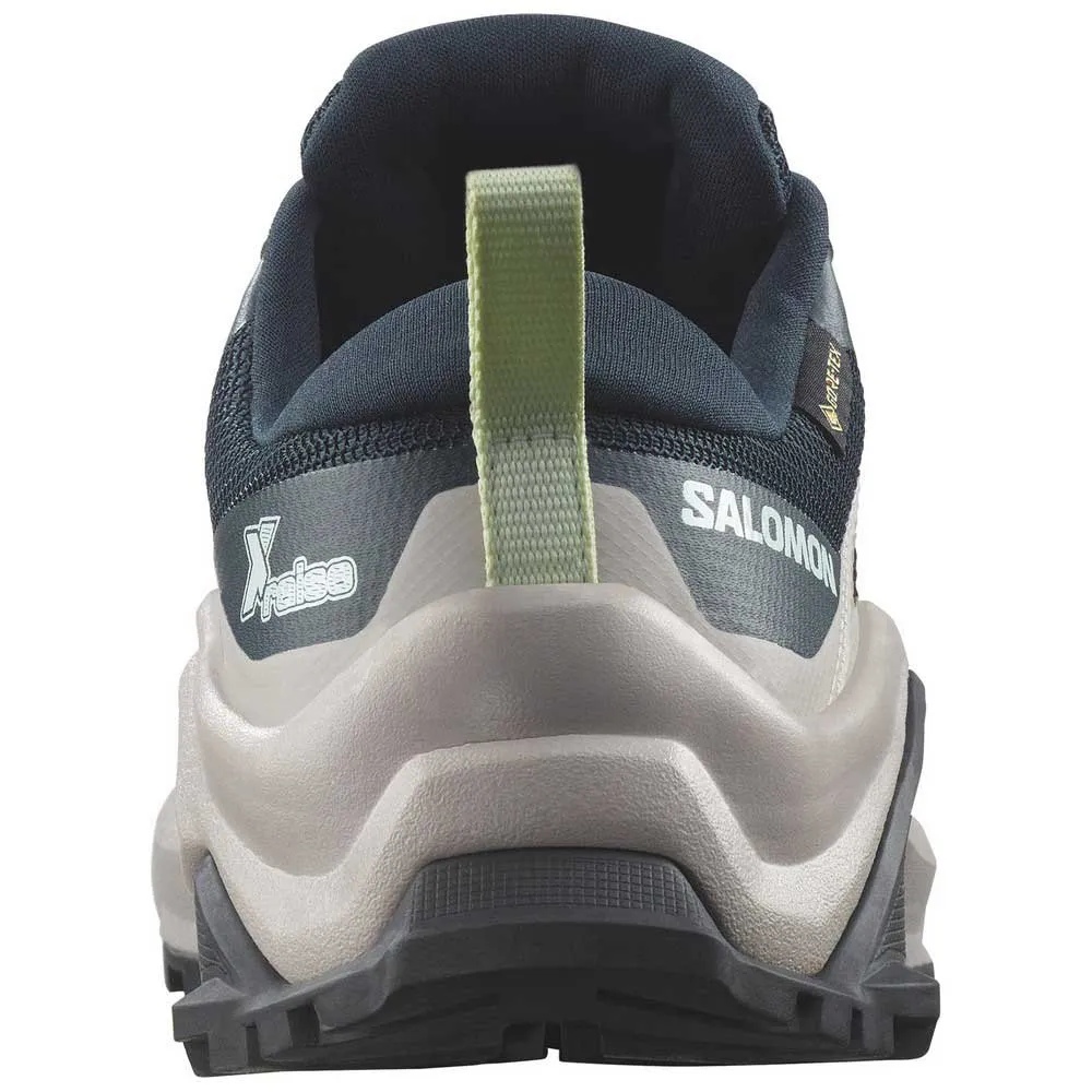 Salomon X Raise Goretex Tursko