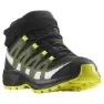 Salomon Xa Pro V8 Mid Cs Wp Tursko