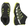 Salomon Xa Pro V8 Mid Cs Wp Tursko