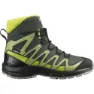 Salomon Xa Pro V8 Winter Wp Tursko