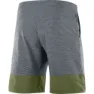 Salomon Xa Training Shorts male, Ebony / olive night