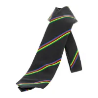 Santini Uci Slips Santini Uci Slips