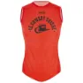 Santini Uci Varese 1951 Ermeløs Baselag, Red
