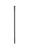 Sapim D-Light Straightpull Sort Eike, 302mm