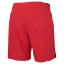 Saxx Underwear Gainmaker 7´´ 2-i-1 Shorts male