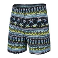 Saxx Underwear Go Coastal Badebukse male Saxx Underwear Go Coastal Badebukse male