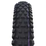 Schwalbe Albert Trail Pro 29" Dekk, Black, 29" x 2.50, Sykkeldekk