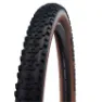 Black / bronze