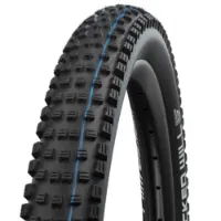 Schwalbe Wicked Will Evolution Dekk
